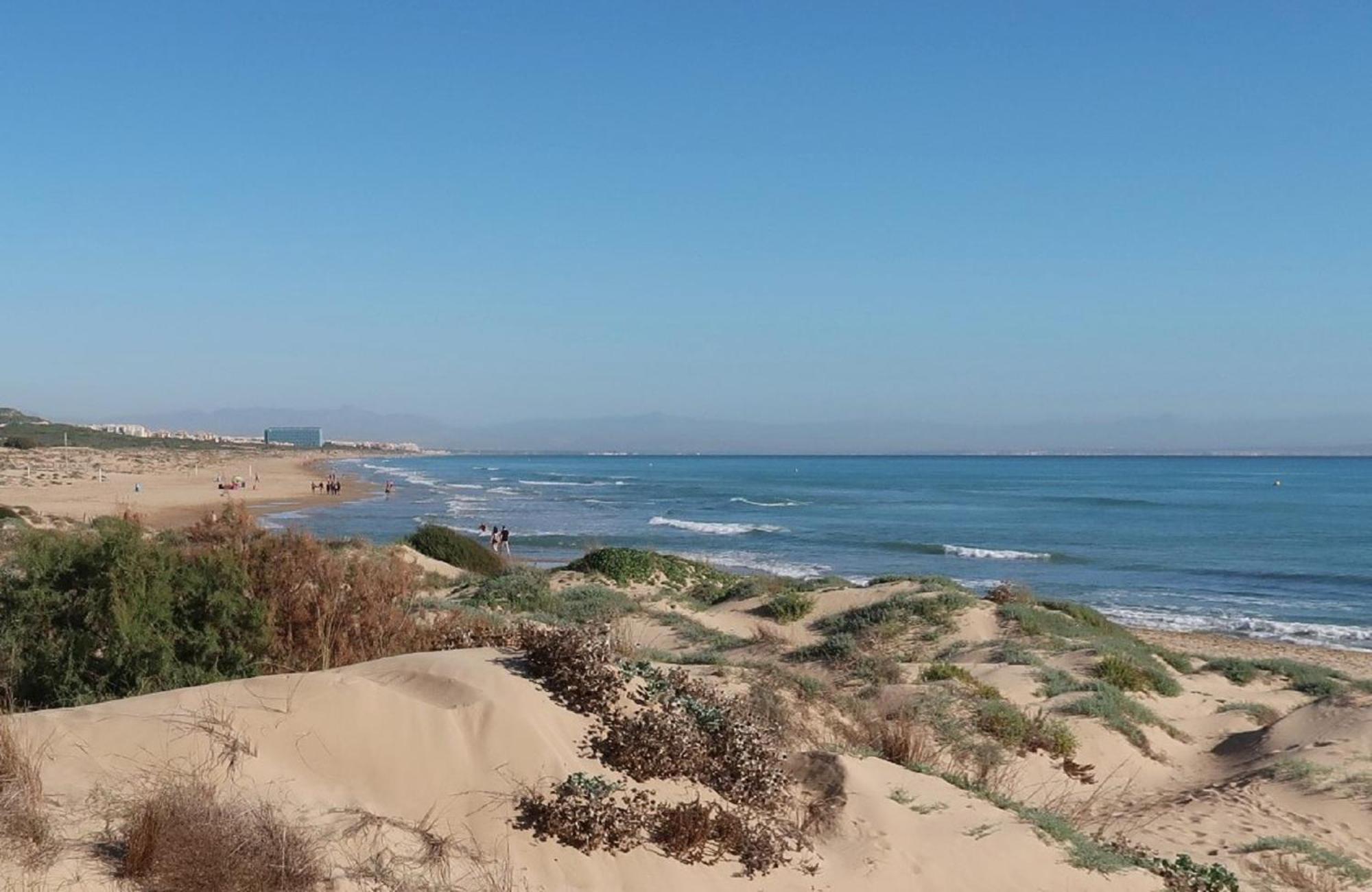 Апартаменты Emilia De La Playa Ла-Мата Экстерьер фото